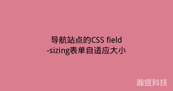导航站点的CSS field-sizing表单自适应大小