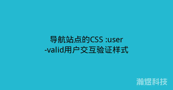 导航站点的CSS :user-valid用户交互验证样式