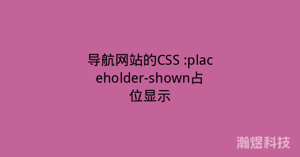 导航网站的CSS :placeholder-shown占位显示