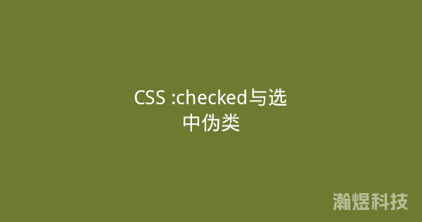 CSS :checked与选中伪类