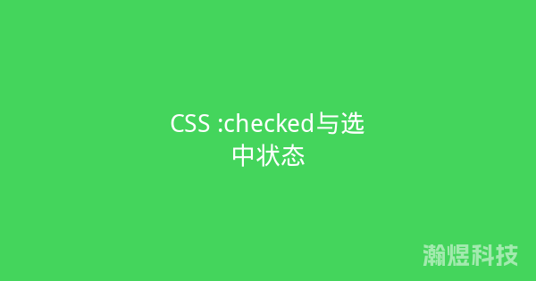 CSS :checked与选中状态