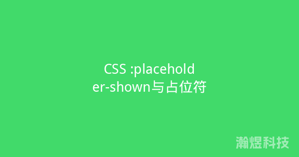 CSS :placeholder-shown与占位符
