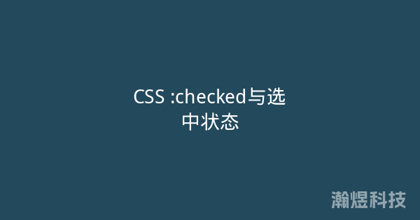 CSS :checked与选中状态