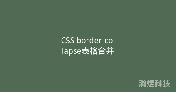 CSS border-collapse表格合并