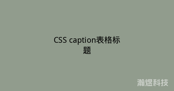 CSS caption表格标题