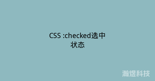 CSS :checked选中状态
